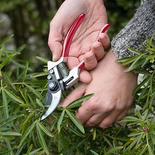 Miniatura 2 de Spear & Jackson 6160BS09 Razorsharp - Podadoras de derivación premium, color rojo