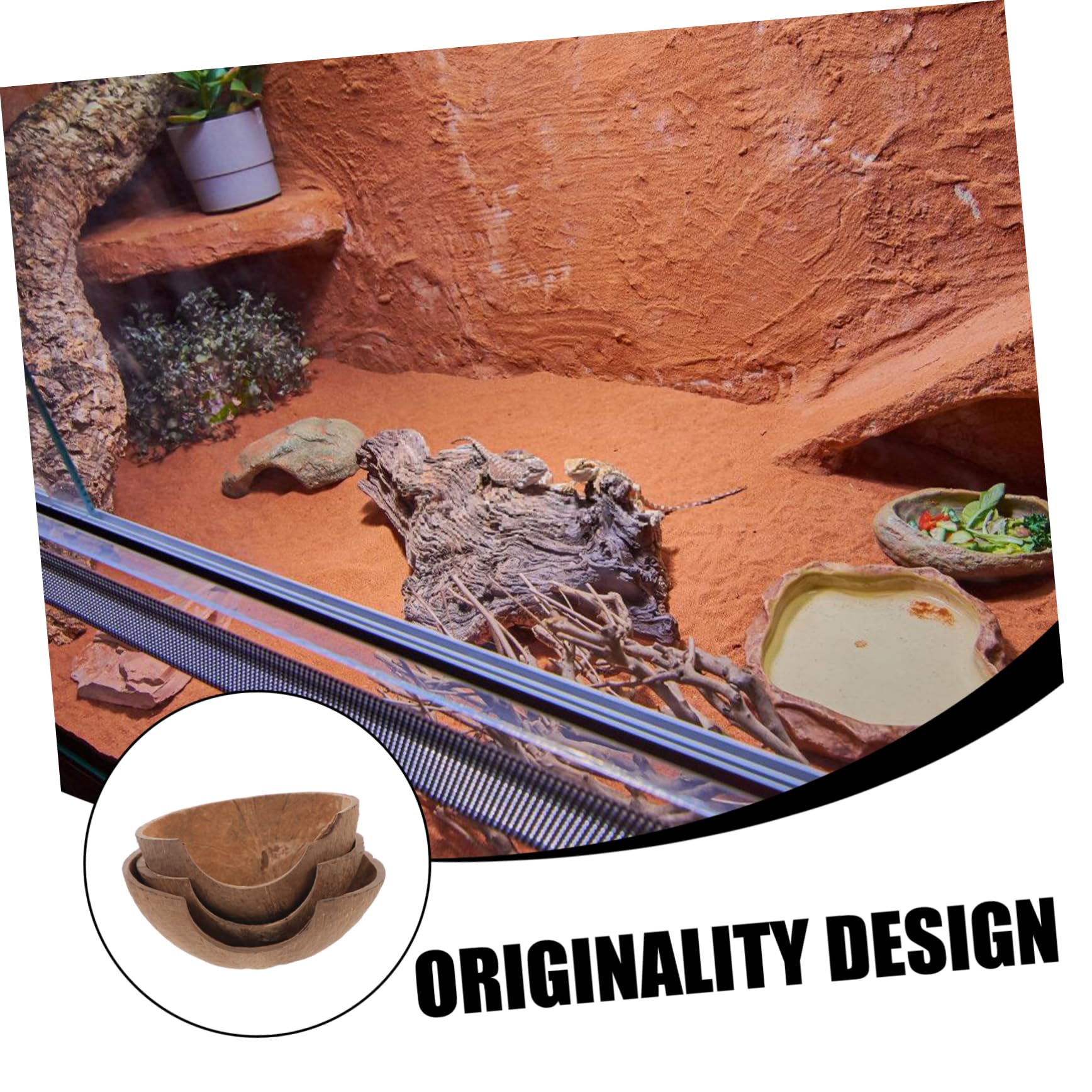 minkissy 15 Reptiles escondidos de Cuevas, decoración Decorativa de terrario, escondite de Reptiles, escondite de Reptiles, escondite de Lagarto, pequeños recipientes de Vidrio de Concha de, Caja