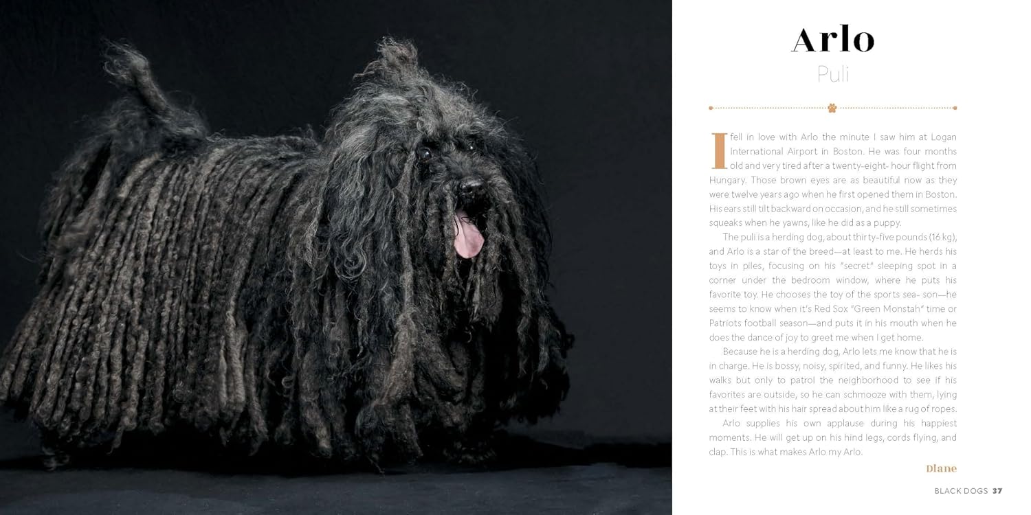 Black Dogs: Stories of Love and Friendship - Image 7