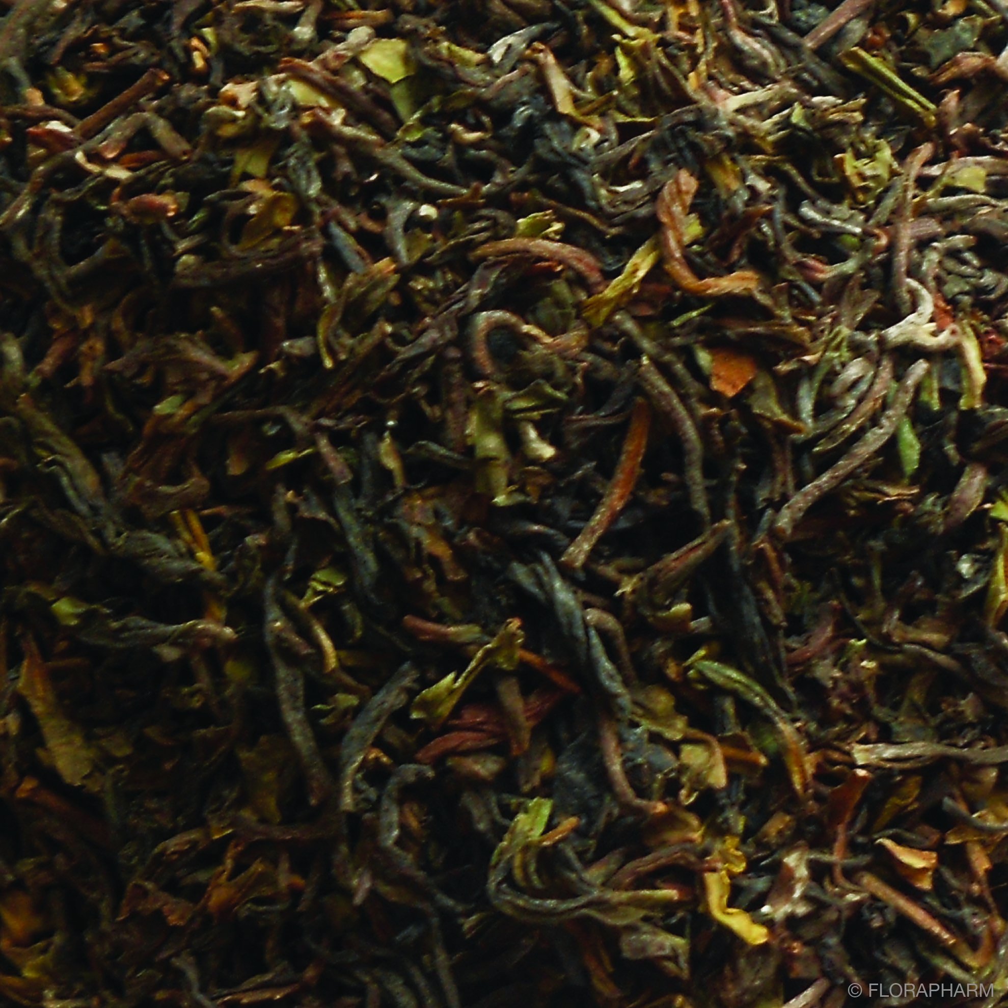 Schwarztee Darjeeling "Gielle" FTGFOP 1 First Flush 1000g Nachfüllpack Lose