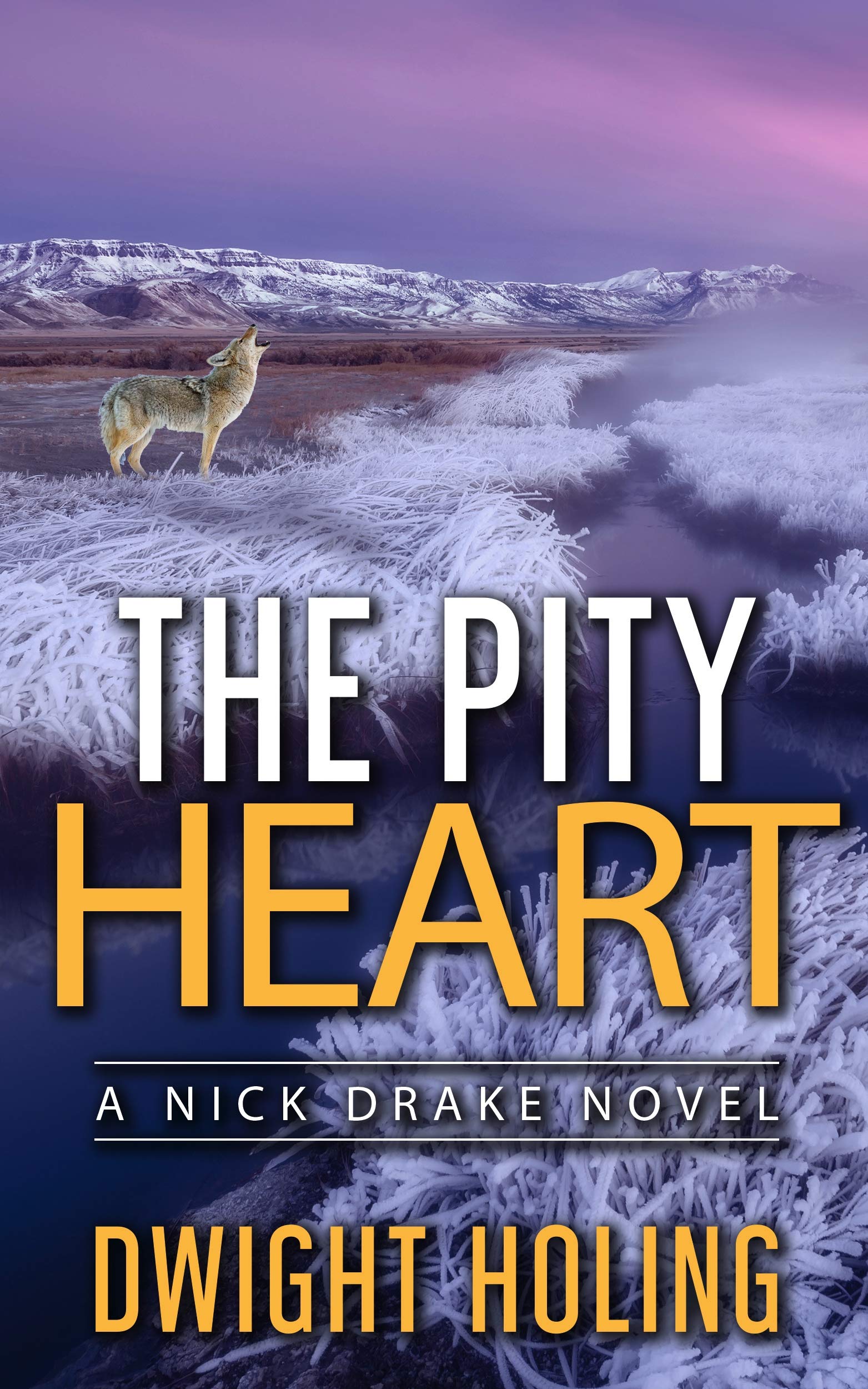 The Pity Heart (A Nick Drake Novel Book 2)