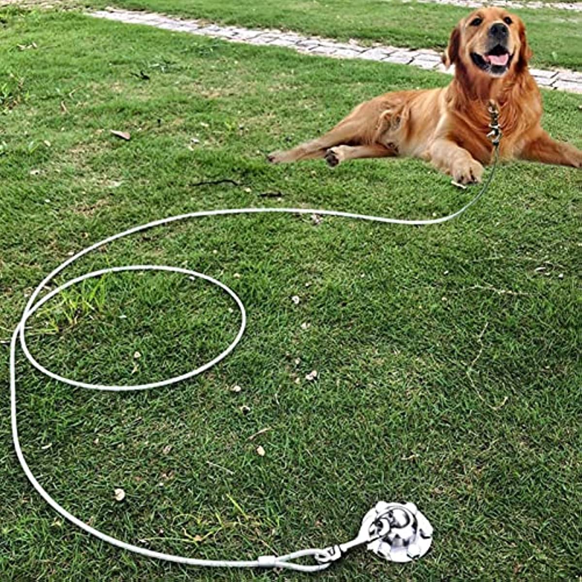 Gancio per cani girevole a 360°, resistente, resistente alla ruggine, per cani da 680,4 kg di forza di trazione, per cortile e campeggio all'aperto