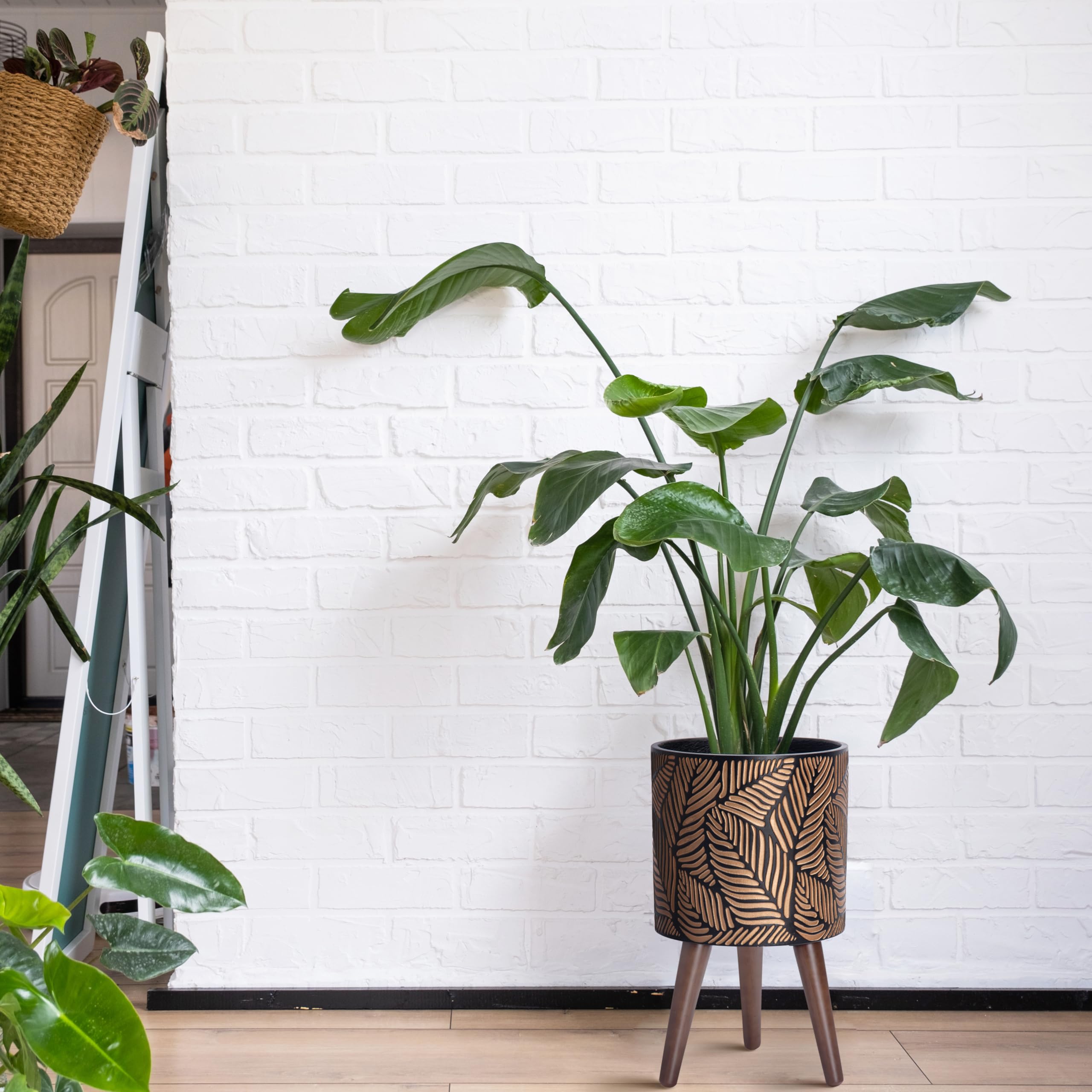 Amazon.com : D'vine Dev 10 Inch Planter Pot with Stand, Mid-Century Tall Plant  Pot with Legs for Indoor Plants, Medium, Bronze/Grey, 88-L-B-6 : Patio,  Lawn & Garden