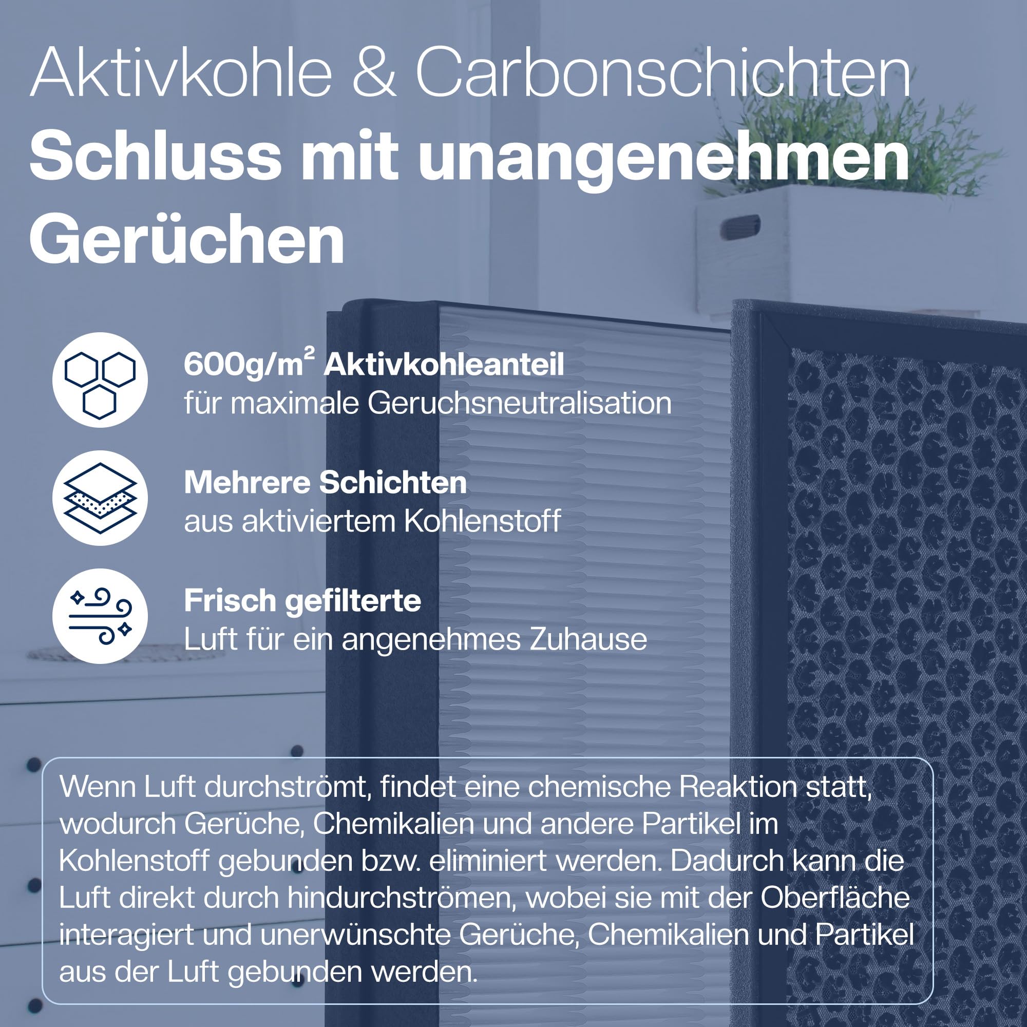 [NEU] 2er Filter-Set für Philips Luftreiniger [AC2882, AC2887, AC2889 & AC3829] – 1 HEPA-Filter und 1 Aktivkohlefilter [Ersetzt FY2422 & FY2420]