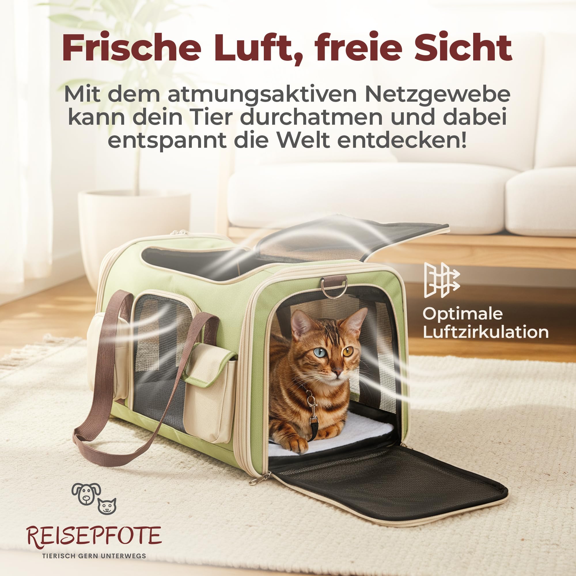 Katzentransportbox Hundetasche Kleiner Hund bis 10 kg [Faltbar] Transportbox Katze Hundebox Hundetragetasche Hundetransportbox Auto | Tragetasche aussuchen
