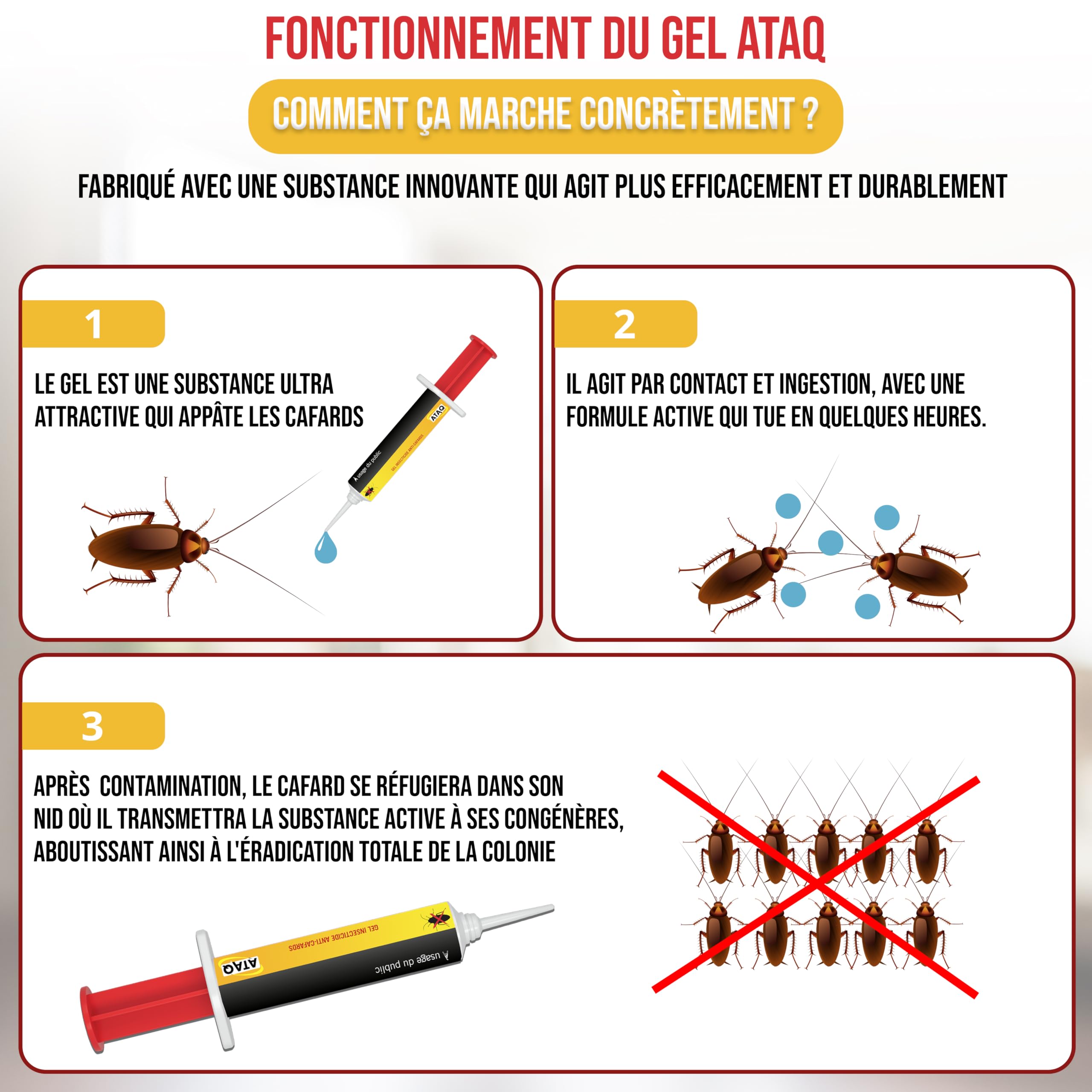 Pack de 2 Gel Appât Anti Cafards 10g Professionnelle Insecticide Élimine Rapidement