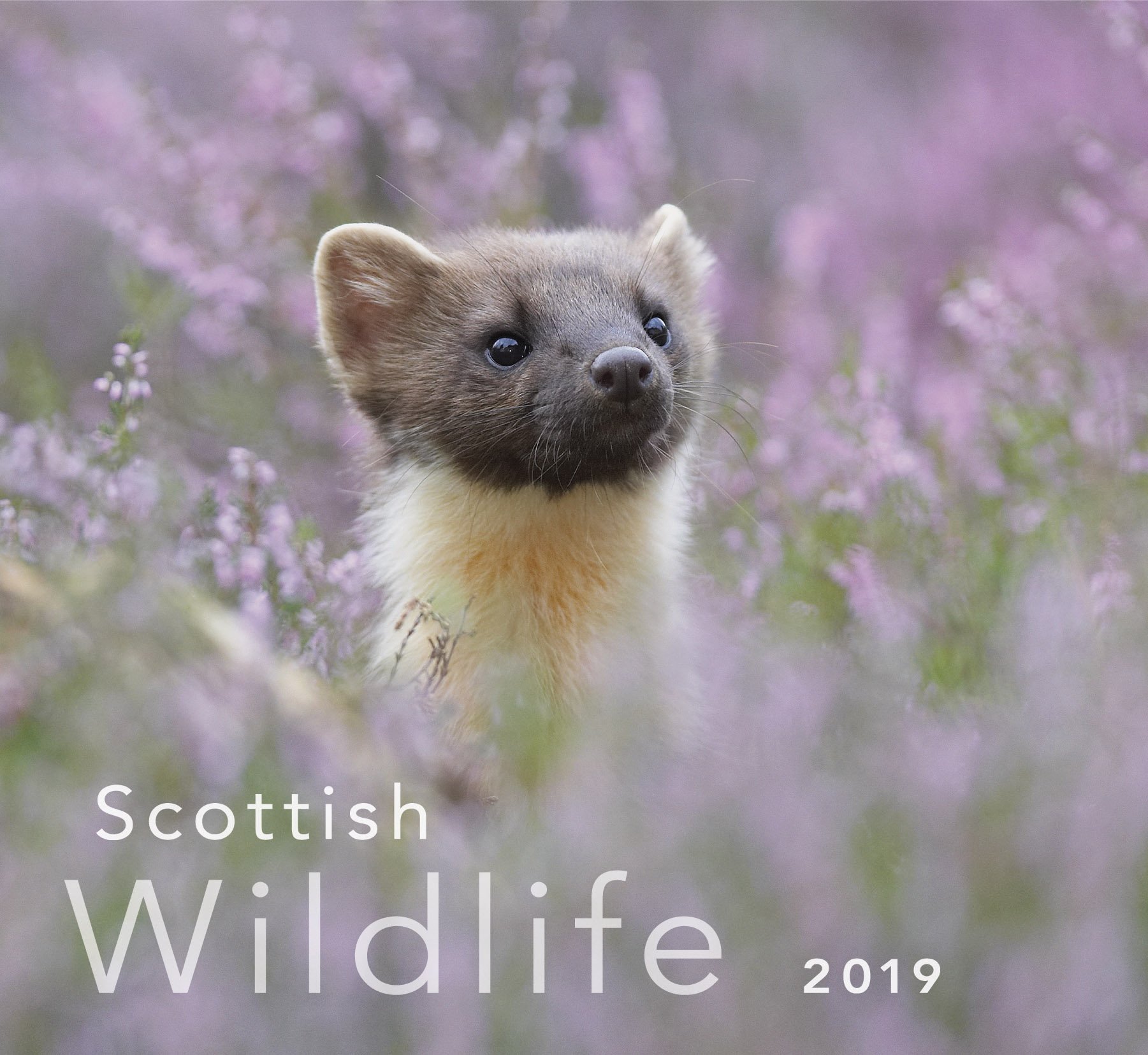 Scottish Wildlife 2019 Calendar