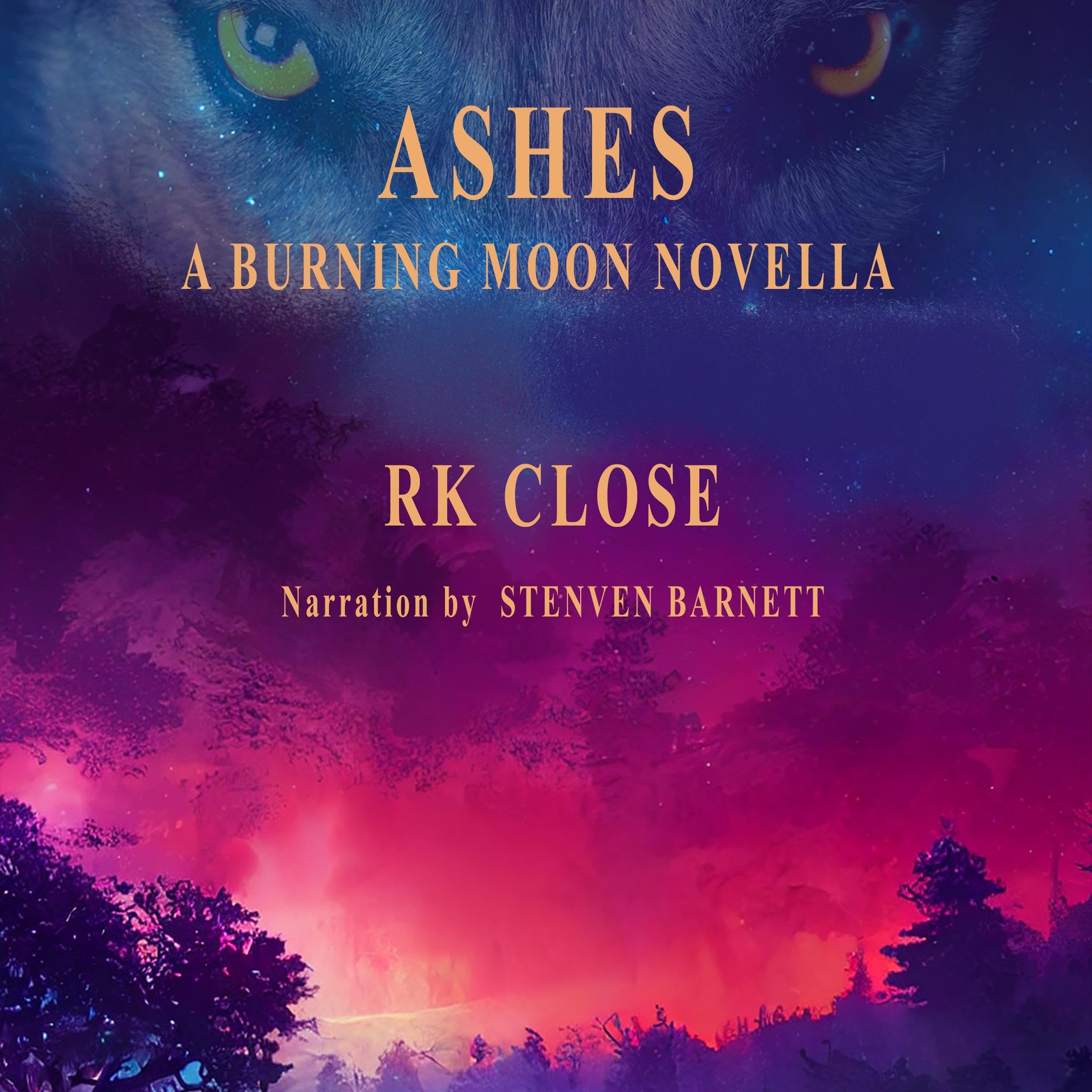 Cover art for Ashes (Firefighter Shifter Fantasy)