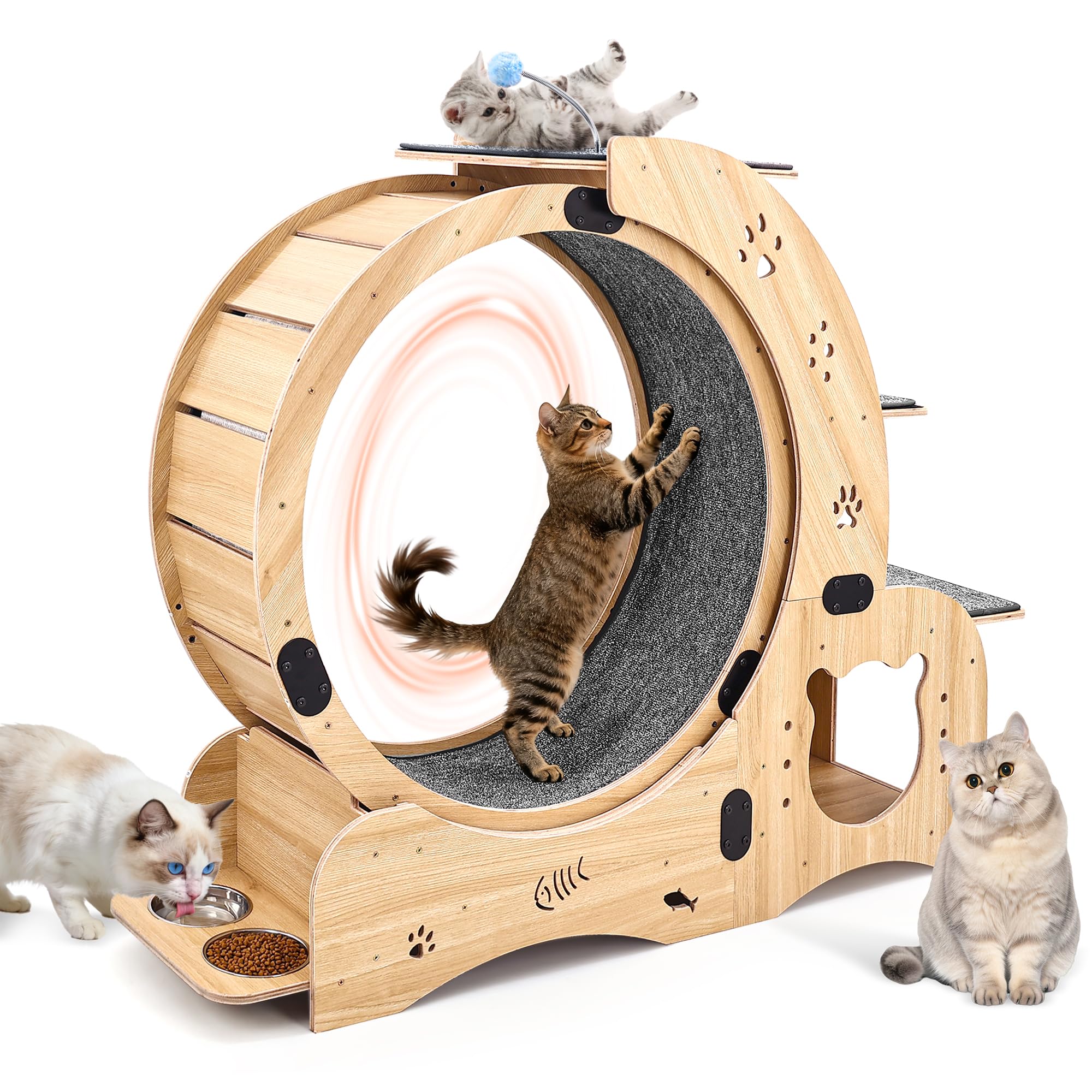 6-in-1 Upgrade Katzen-Übungsrad, Großes Leises Laufgerät mit Multifunktionsdesign, Interaktives Möbelspielzeug für Innenkatzen