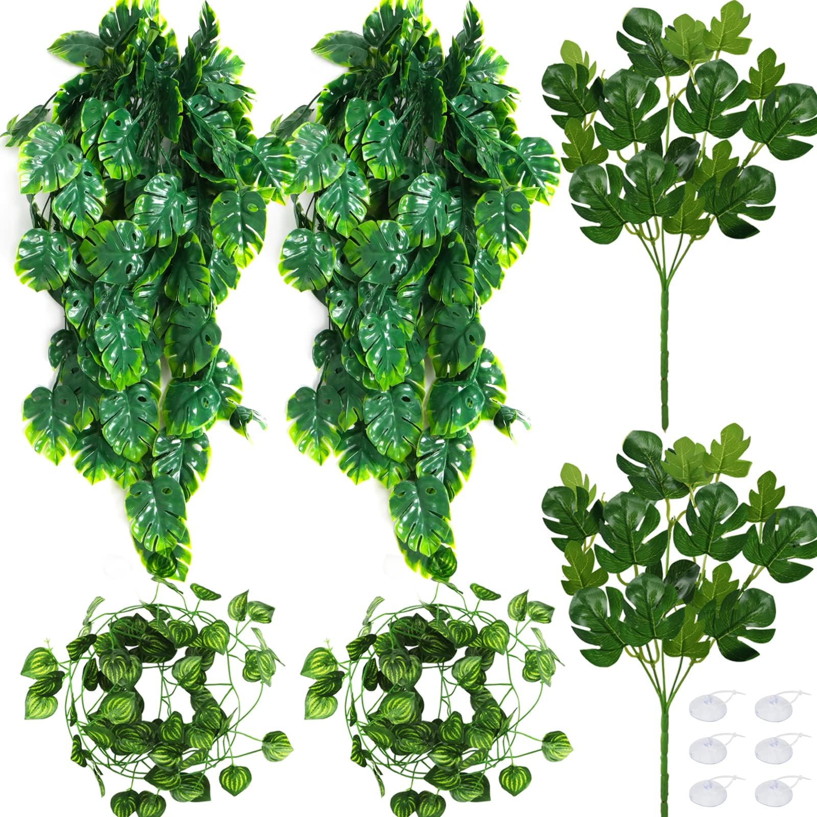 Lingtoolator rarium Reptile Plants, Reptile Hanging