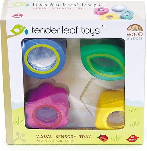 Miniatura 2 de Tender Leaf Toys - Bandejas sensoriales - Bloques de bebé, clasificador de formas, juguete de clasificación de identificación de formas STEM para