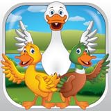 Mokool Apps