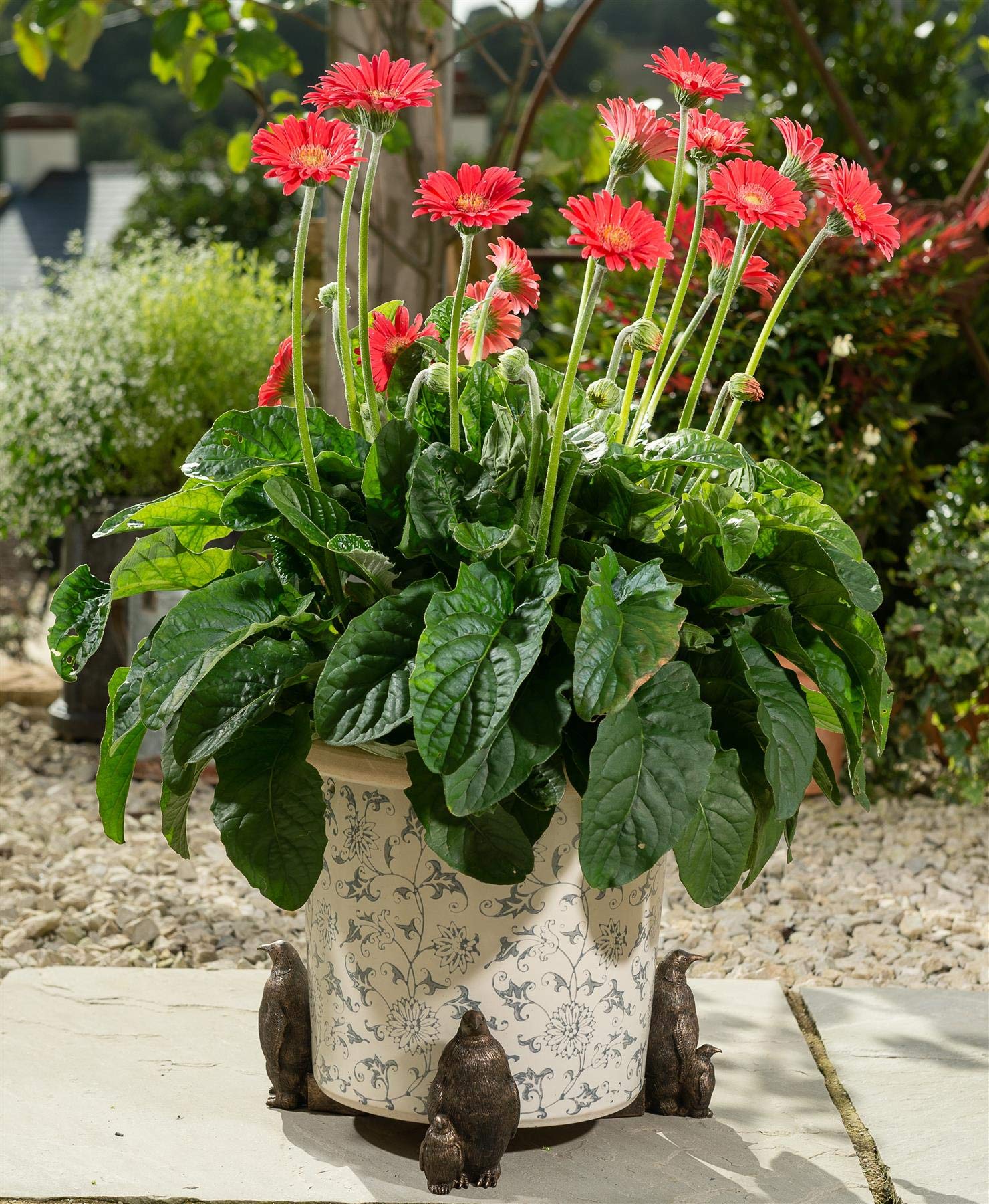 Potty Feet Bronze Emperor Penguin Figures Plant Pot Feet - Planter Support - Handmade Decorative Ornaments - 3Pcs