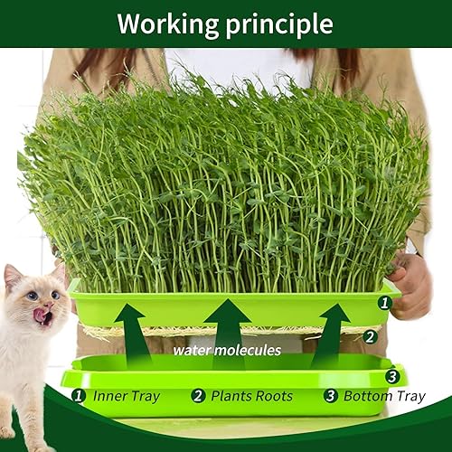 Miniatura 4 de Paquete de 3 bandejas para germinar semillas, bandeja de germinación sin tierra, kit de cultivo de microgreens con tapa, sin BPA, kit de germinación