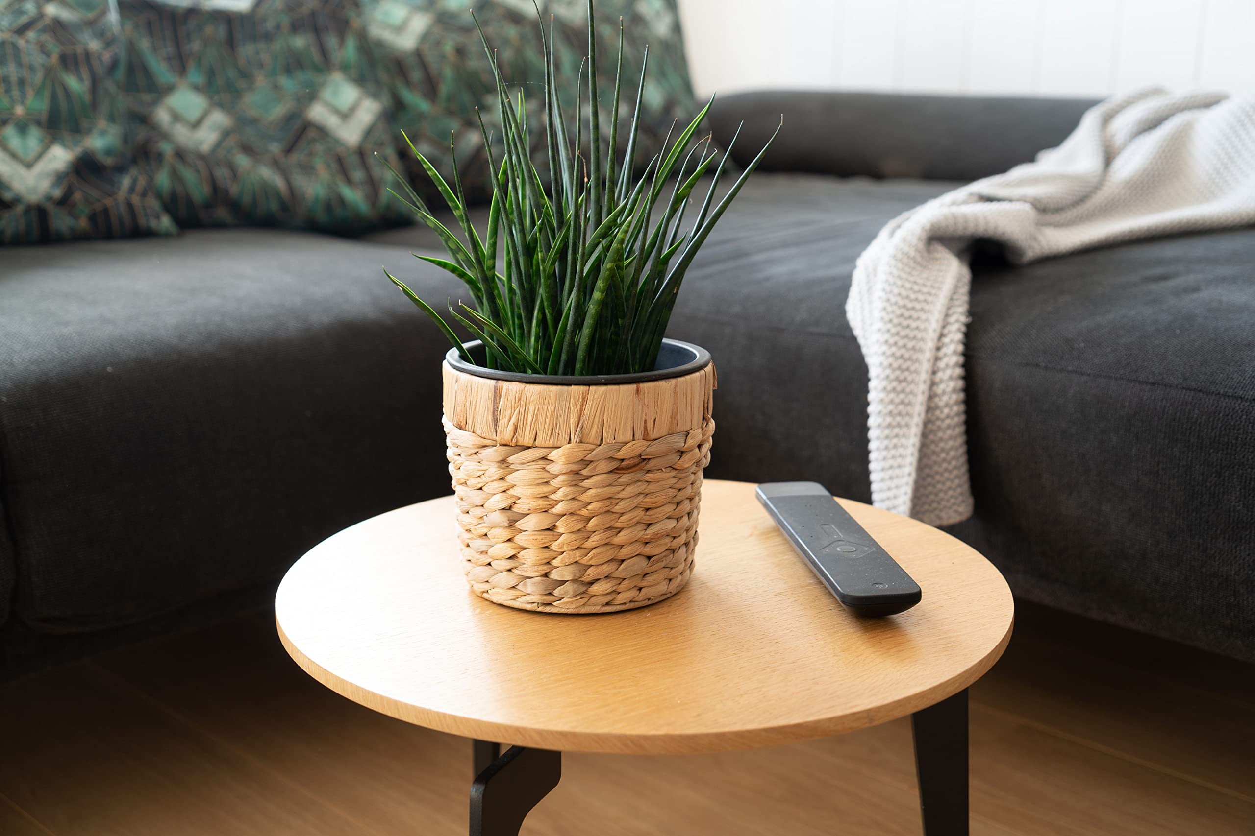 Decorasian 4er Set Blumentopf rund geflochten aus Seegras mit Kunststoffeinsatz zum bepflanzen - Pflanztopf - 16cm + 20cm + 26cm +34cm