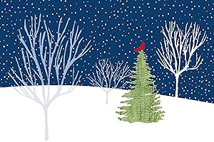 Publisher's Clearing House - Midnight Cardinal Deluxed Boxed Holiday Cards