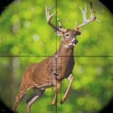 Wild Deer Hunting Adventure : Hunting Games 2022 Deer Hunter - Animal Shooting Game