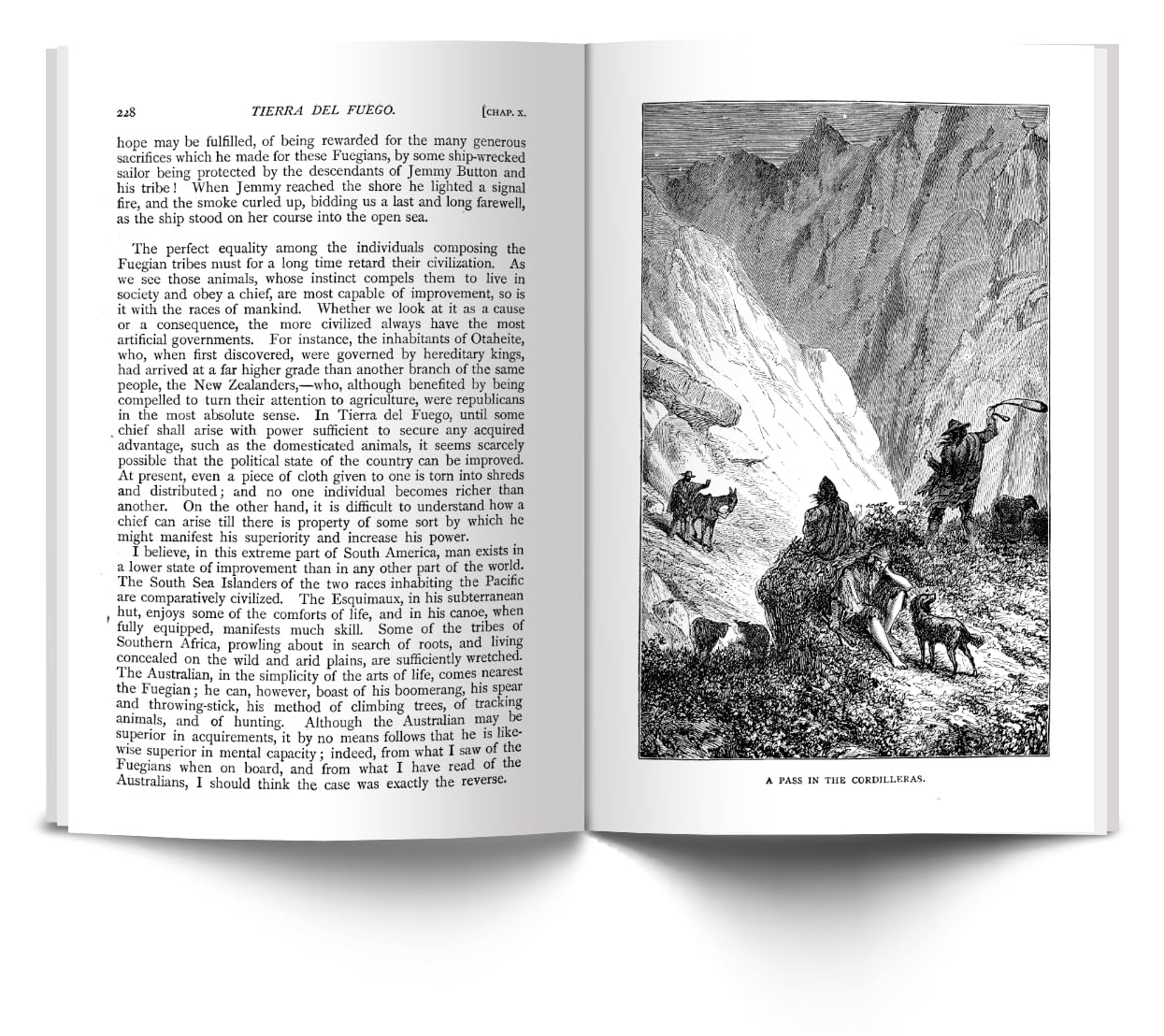 The Voyage of the Beagle