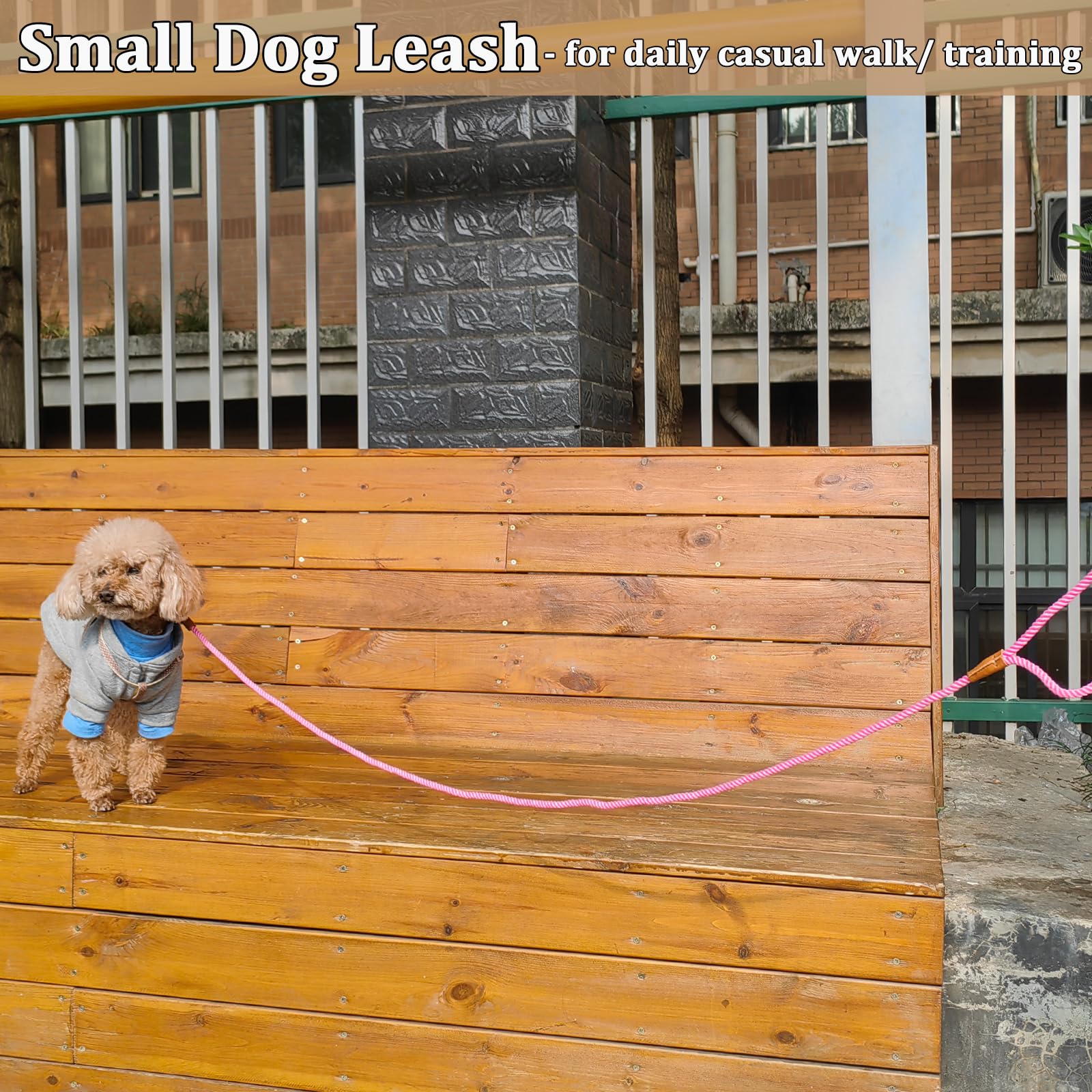 Laisse rose de 1,5 m pour petits chiens – Laisse légère et douce en coton tressé de 0,6 cm pour petites races/chats, promenades quotidiennes, dressage