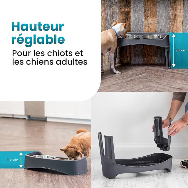 Foto 4 de 7 de Iris Ohyama, Cuencos Dobles elevados con Soporte Desmontable para Perros con Movilidad Limitada, Cuencos…