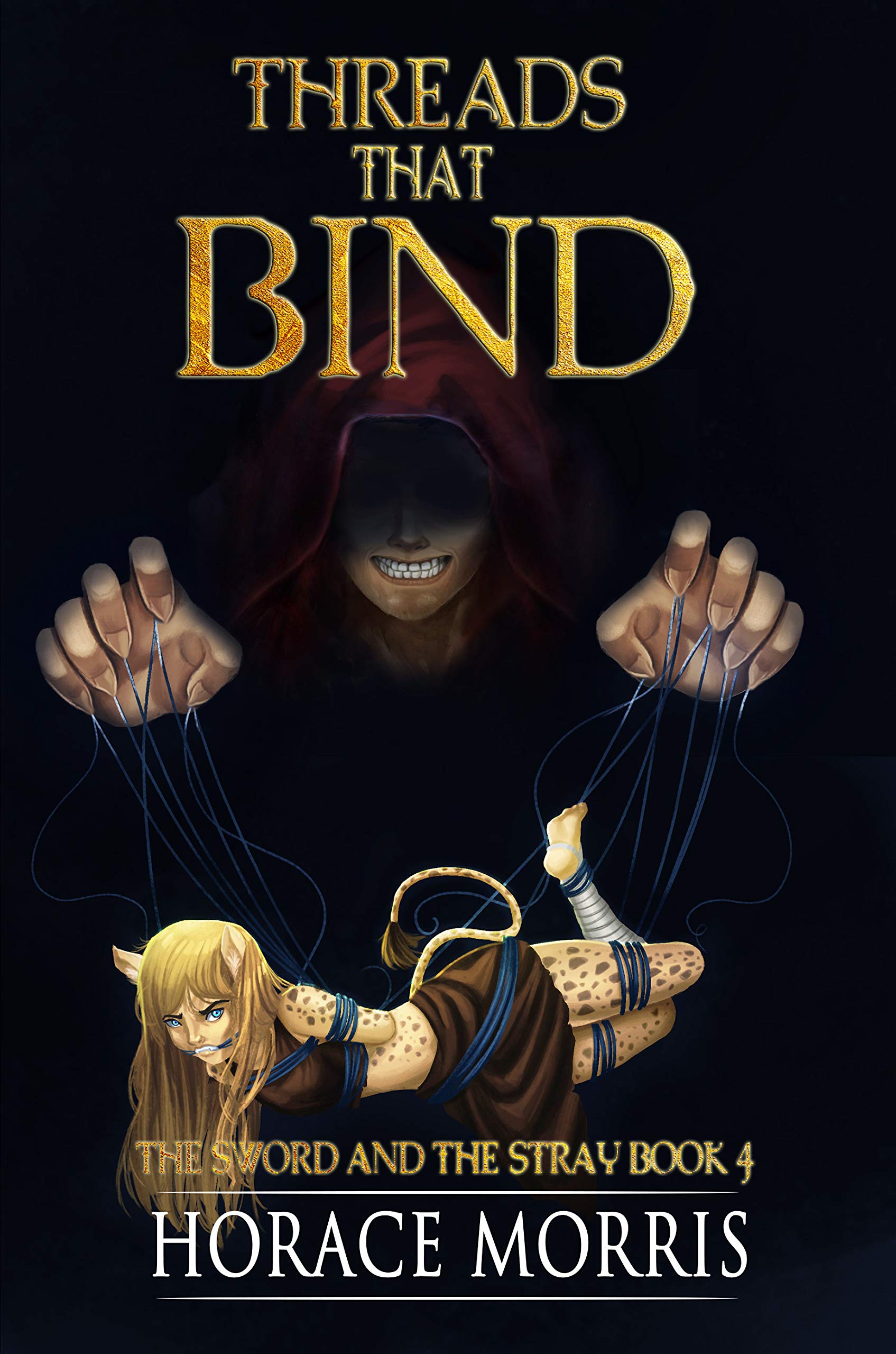 Threads That Bind : The Sword and The Stray book 4