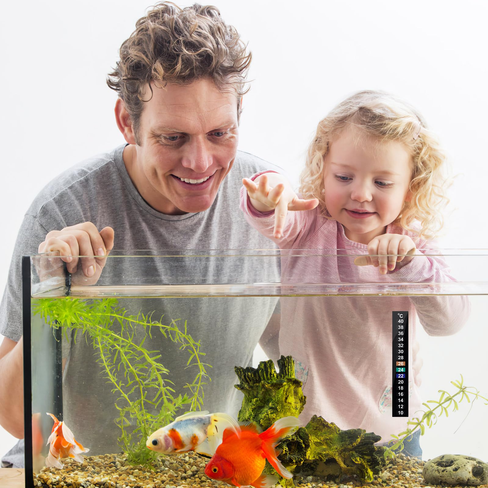 10pièces Thermomètre Adhésif Numérique Pour Aquarium Bande Thermomètre À Couleurs Changeantes Indicateur De Température Pour Vin Bière Et Kombucha