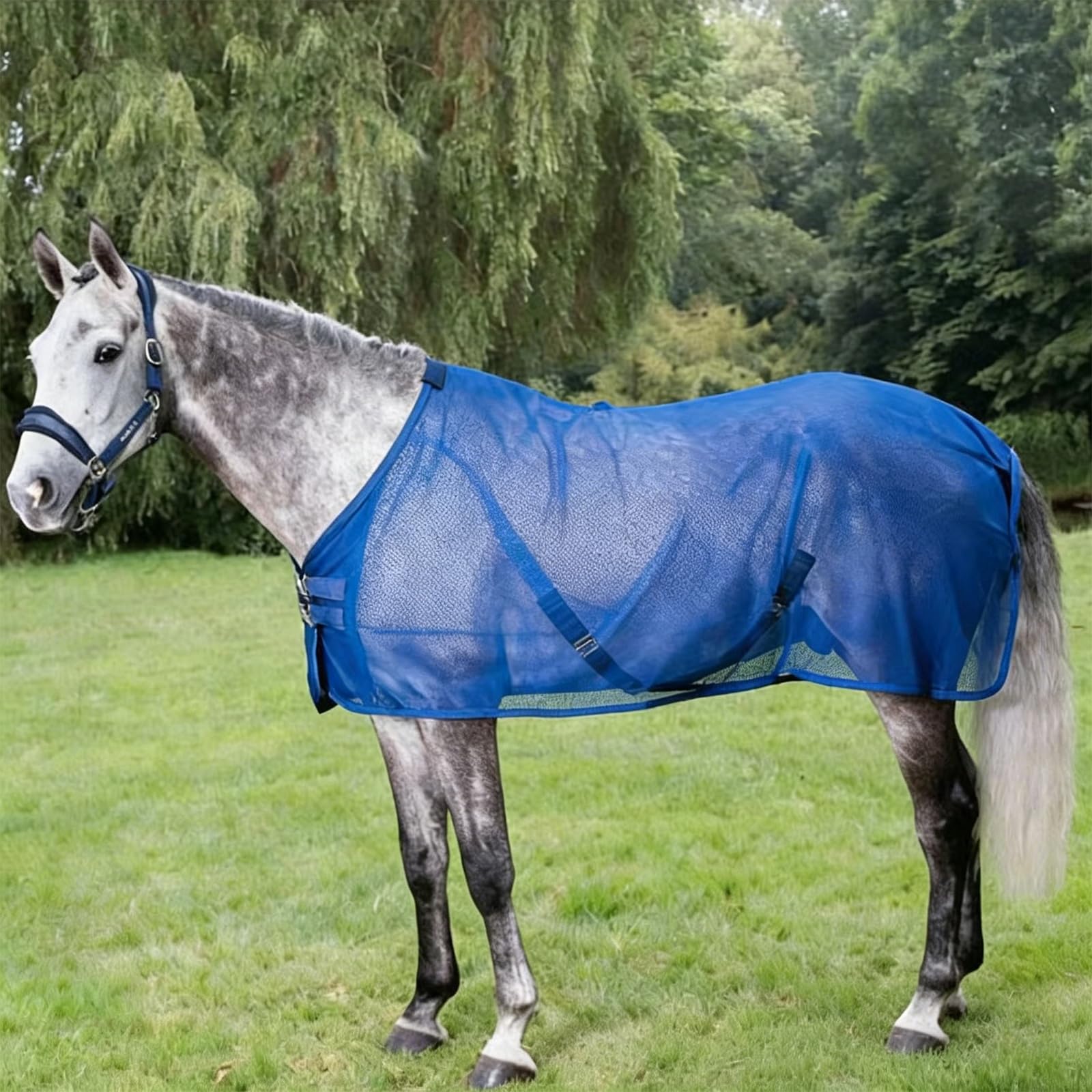Cubierta protectora para caballos de peso, malla transpirable, con hebillas, protección equina