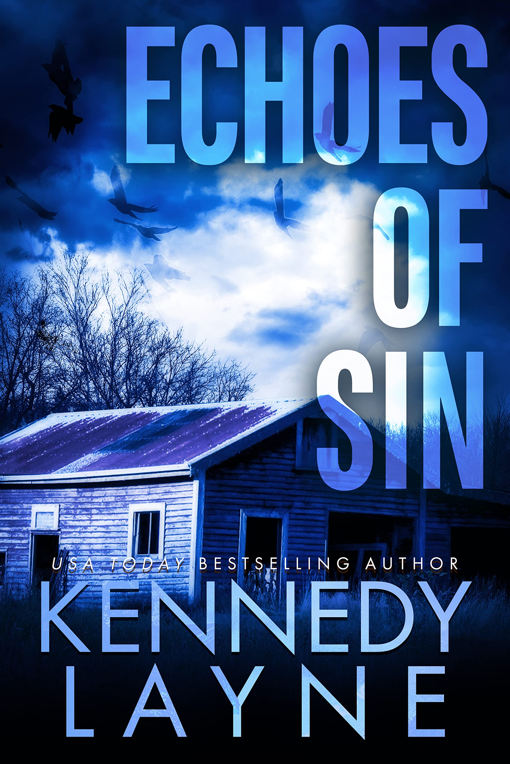 Echoes of Sin (Touch of Evil Book 8)