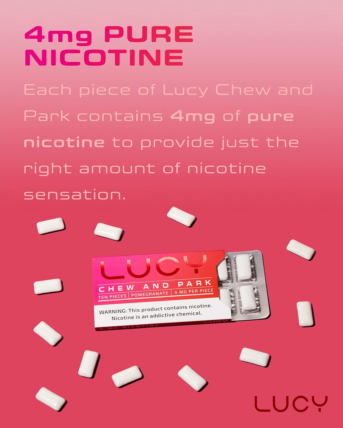 Lucy Chew and Park Nicotine Gum 4mg Pomegranate Flavor 10 Pack, Cleaner Nicotine, Great Taste, Nicotine Alternative, Convenient, Use Anywhere : Health & Household