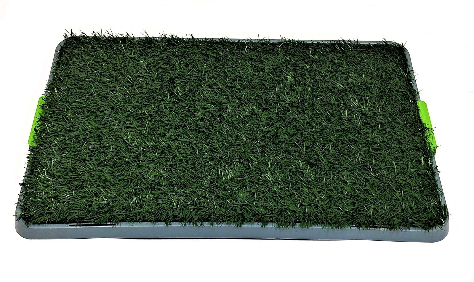 Potty Patch Erba Sintetica Per Cuccioli - Lettiera Antibatterica Antiodore Per Cani Fino 7kg, 70x44cm