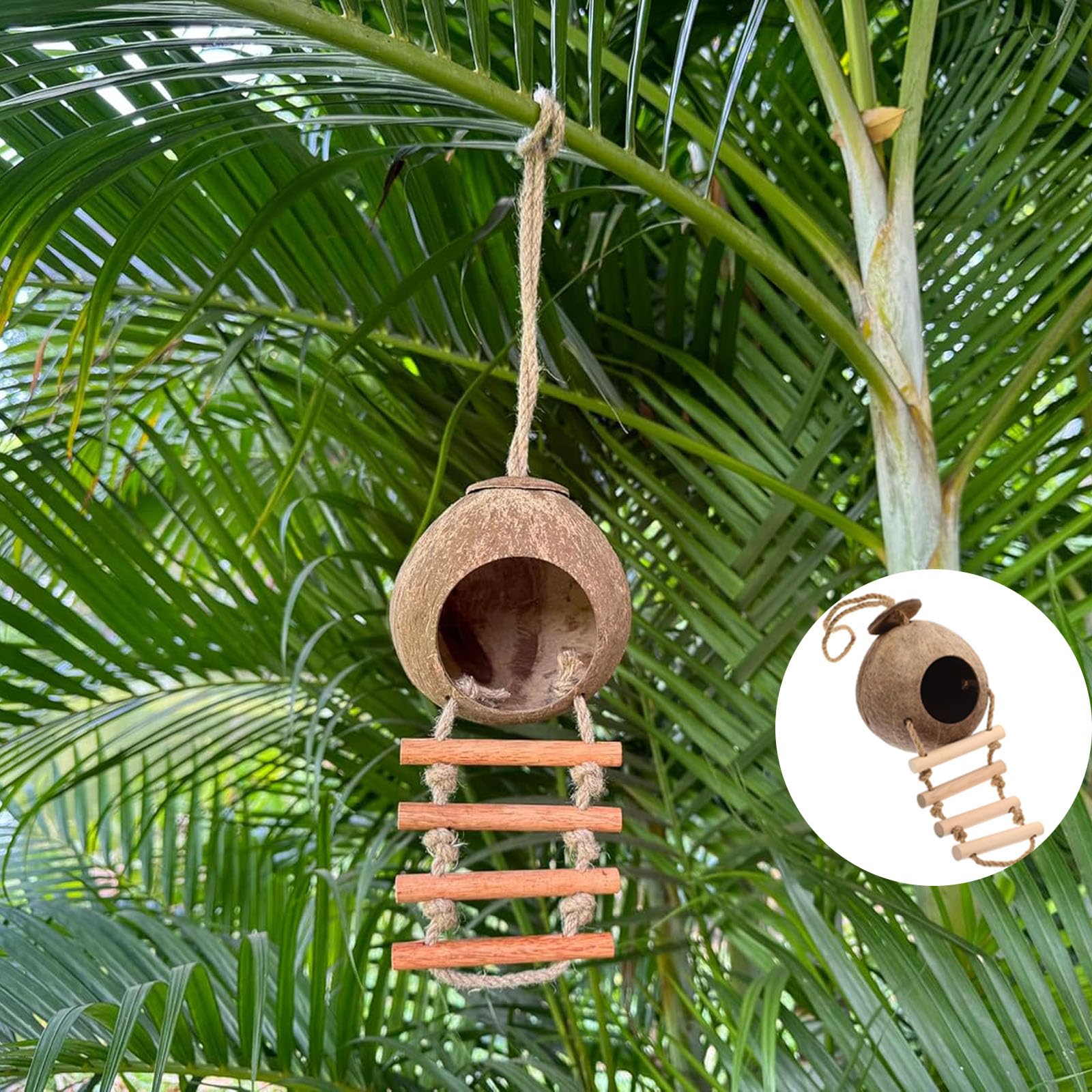 Nido di Cocco per Uccelli, Uccelli in Cocco Nido Decorativo, Nido di Noce di Cocco per Uccelli, per Uccelli in Stile Scala, Resistente Alle Intemperie per Piccoli Uccelli, Rettili, Amanti Del Giardino