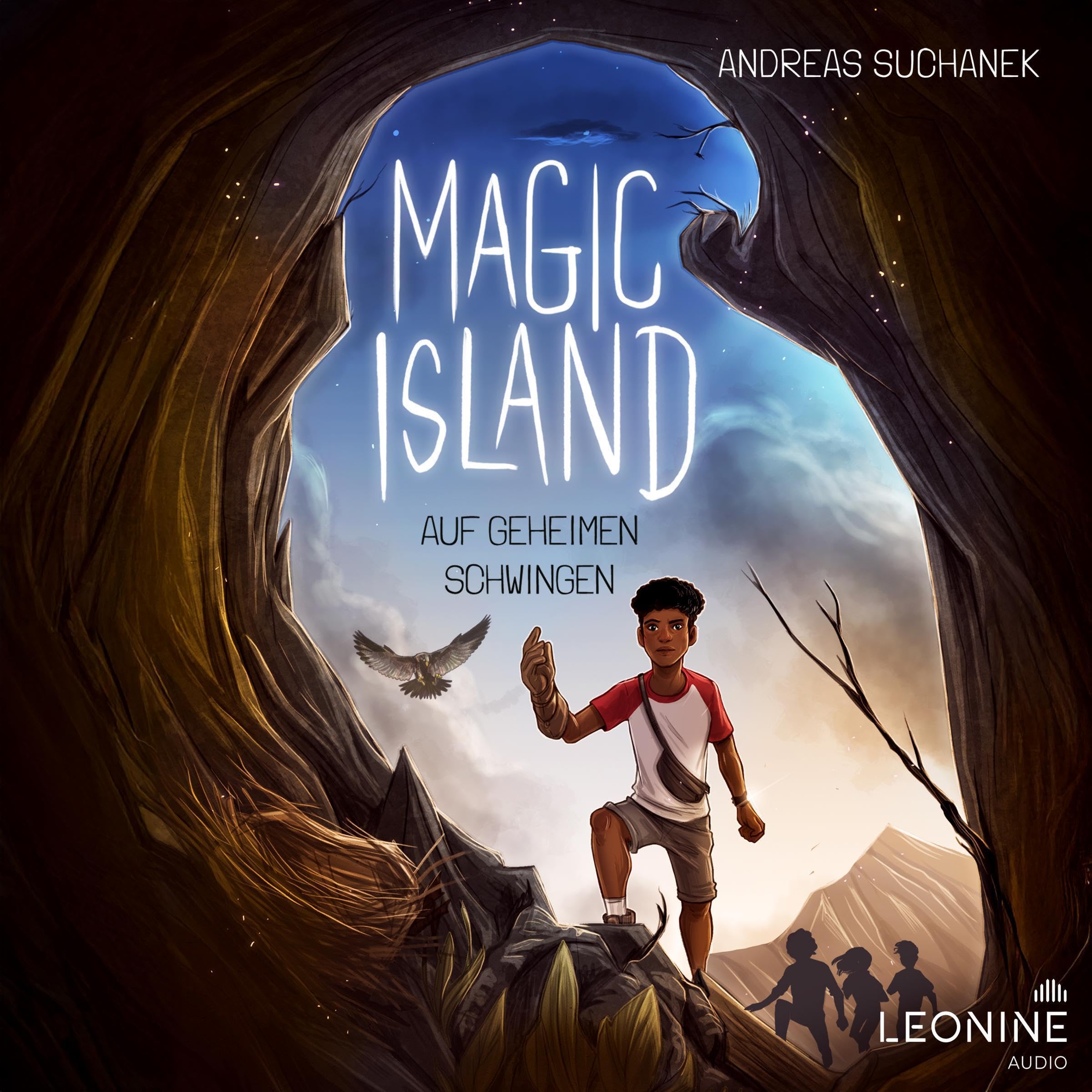 Cover art for Auf geheimen Schwingen