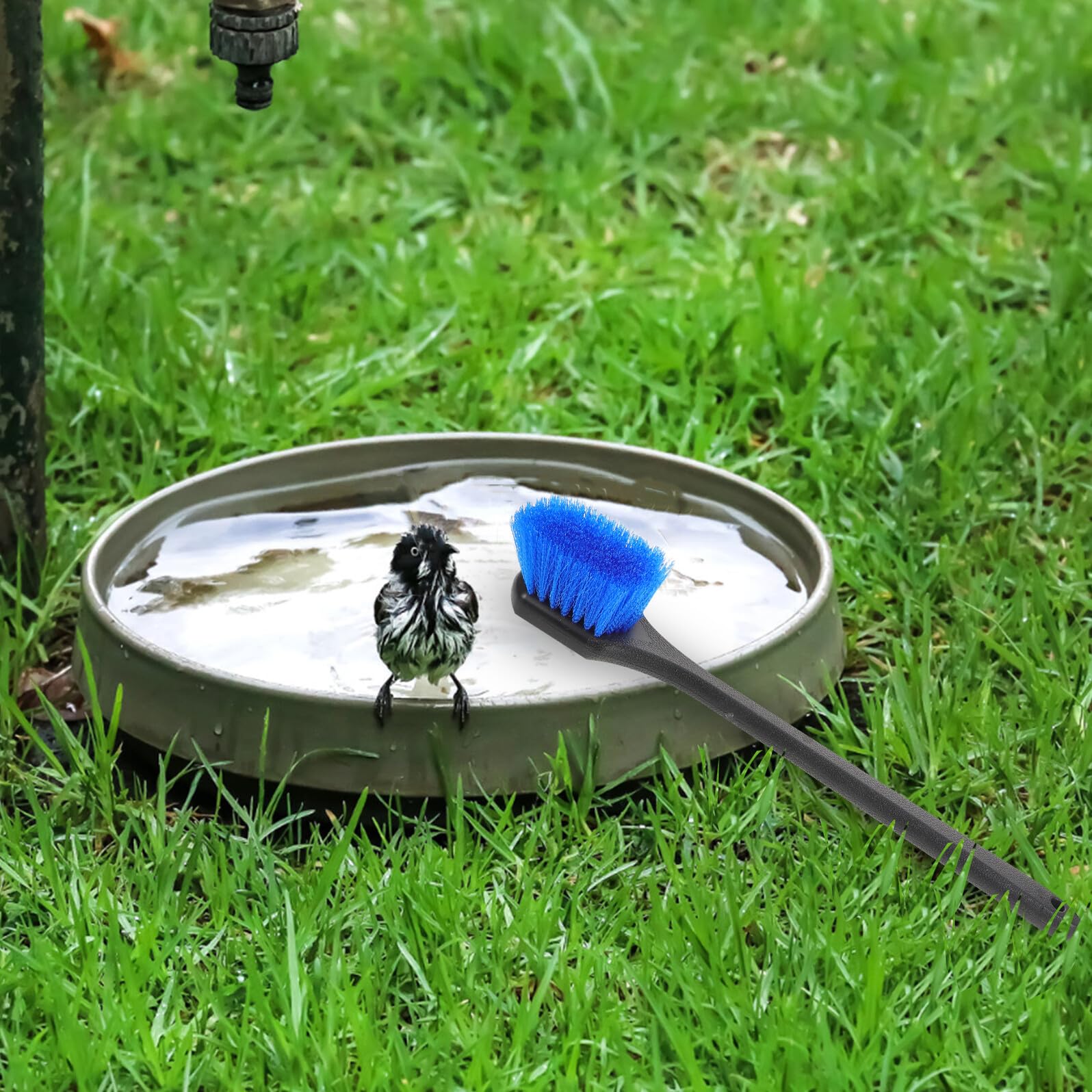 SHOWERORO Cepillo para Limpiar Bebederos para Pájaros con Mango Largo, Color Azul, Cepillo de Limpieza para Comederos y Baños de Aves, Herramienta para Jardinería y Cuidado de Aves en Patio