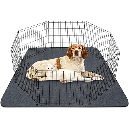 potty training kennel