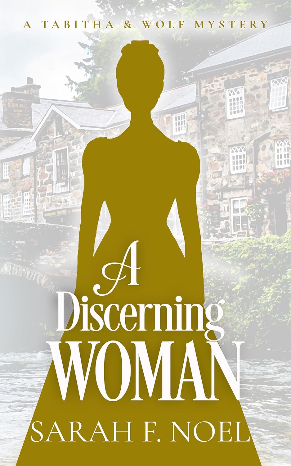 A Discerning Woman: A Victorian Historical Mystery (Tabitha & Wolf Historical Mystery Series Book 6)      Kindle Edition