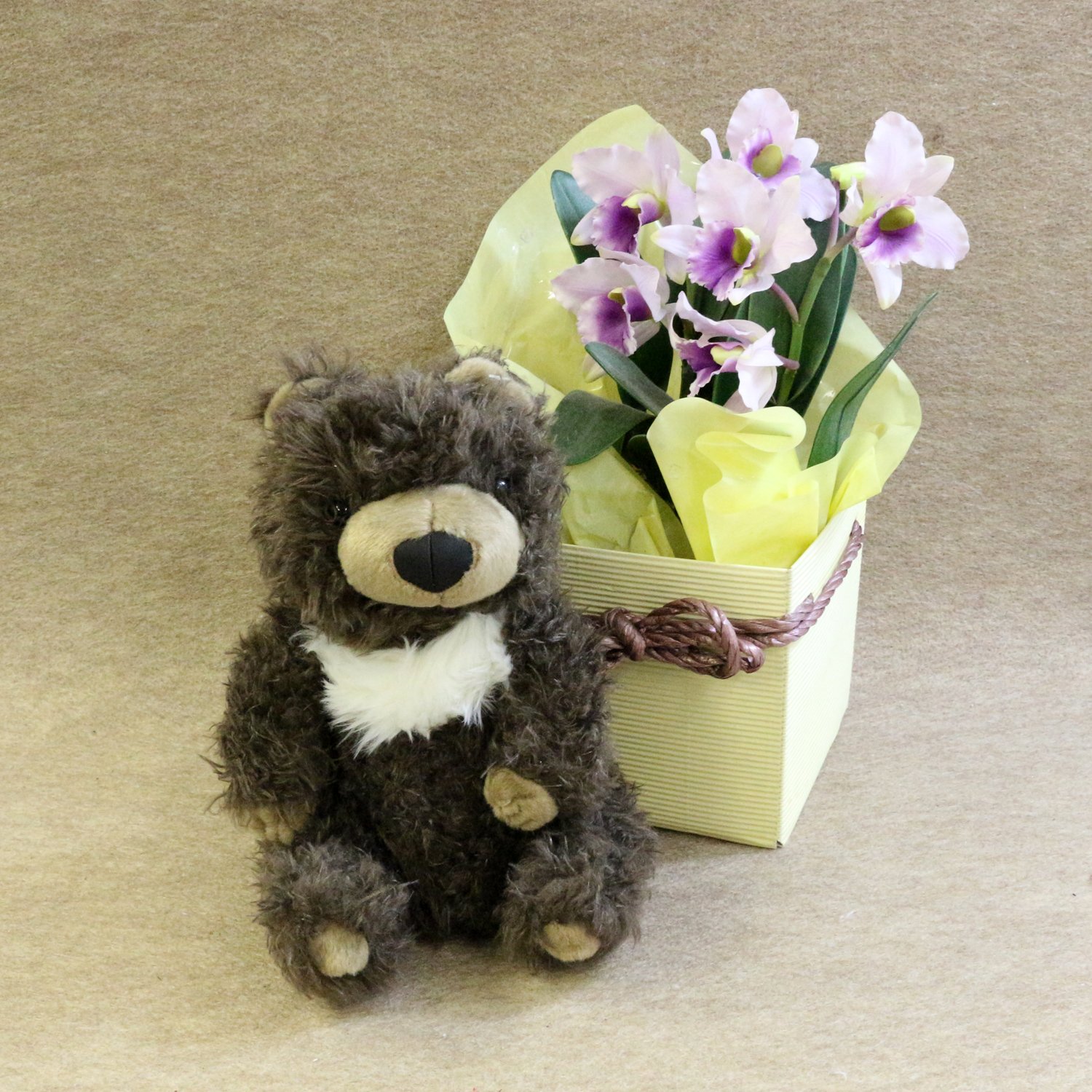 Amazon.co.jp: もさもさ くまさん ダークブラウン : ホーム＆キッチン