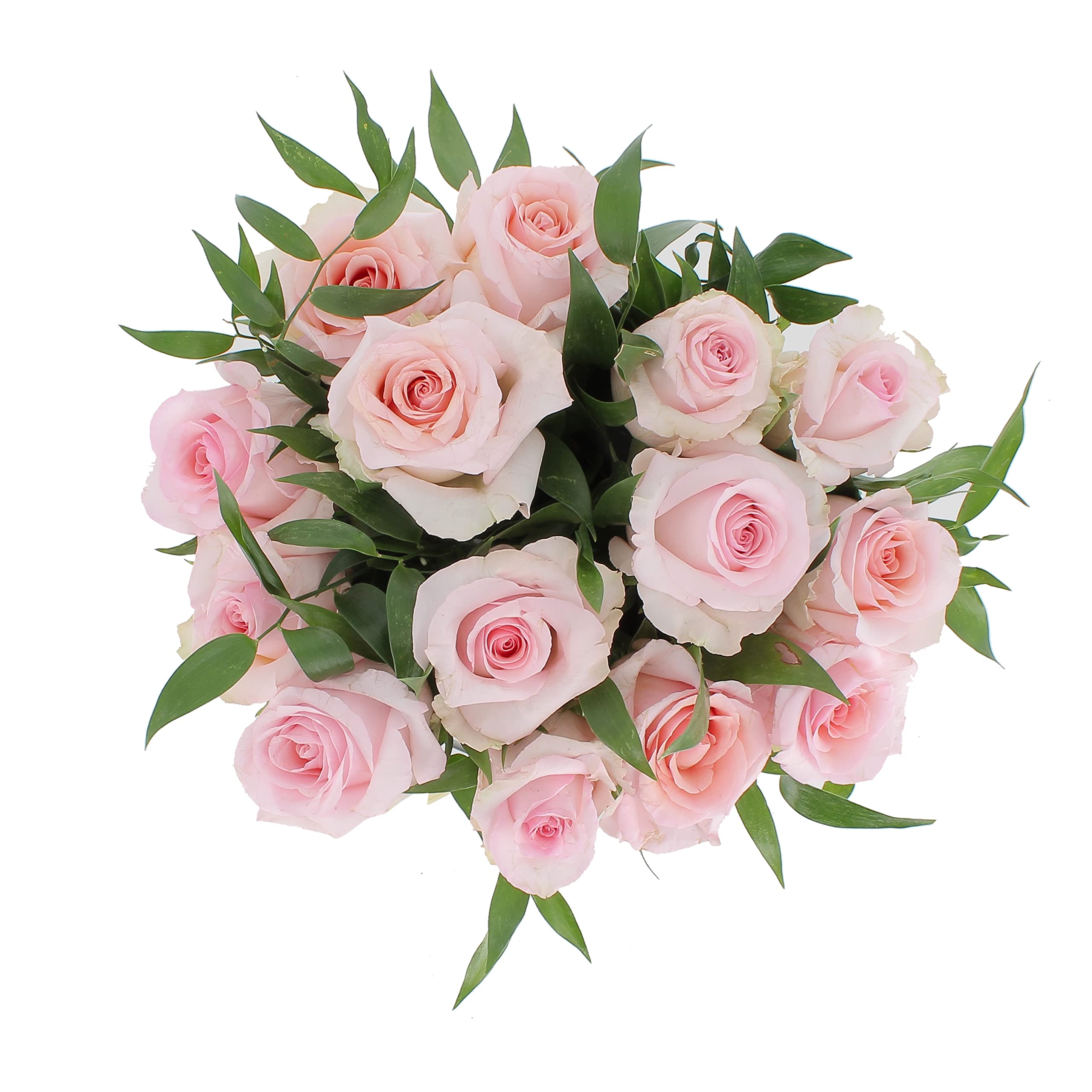 KENTIS - Bouquet di 12 Rose Rosa a Stelo Lungo 50 cm - Mazzo di Fiori Freschi a Domicilio in Italia - Rose Vere Regalo