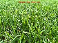 Review Image by Chris Chris