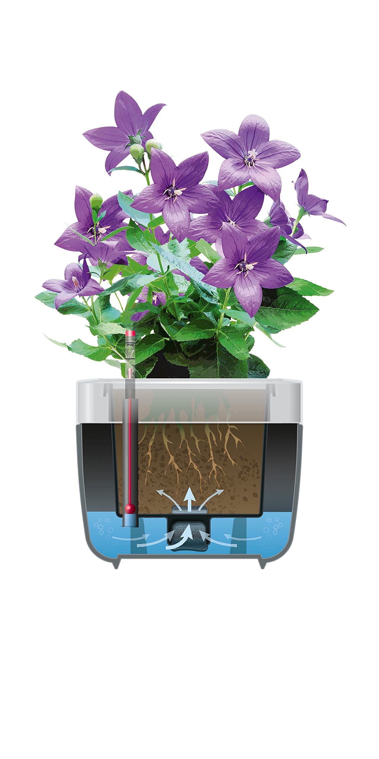 Emsa myBOX Blumenkbel anthrazit/alu , Mae ca. L 350 mm x B 350 mm x T 340  mm Blumenkasten incl. Rahmen: Amazon.de: Garten