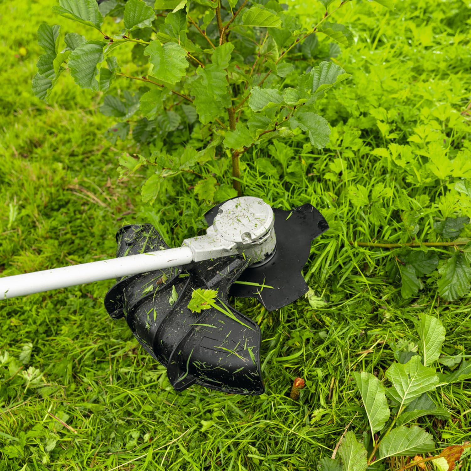 Bosch Pro Lame de débroussailleuse de 25 cm | 4 dents