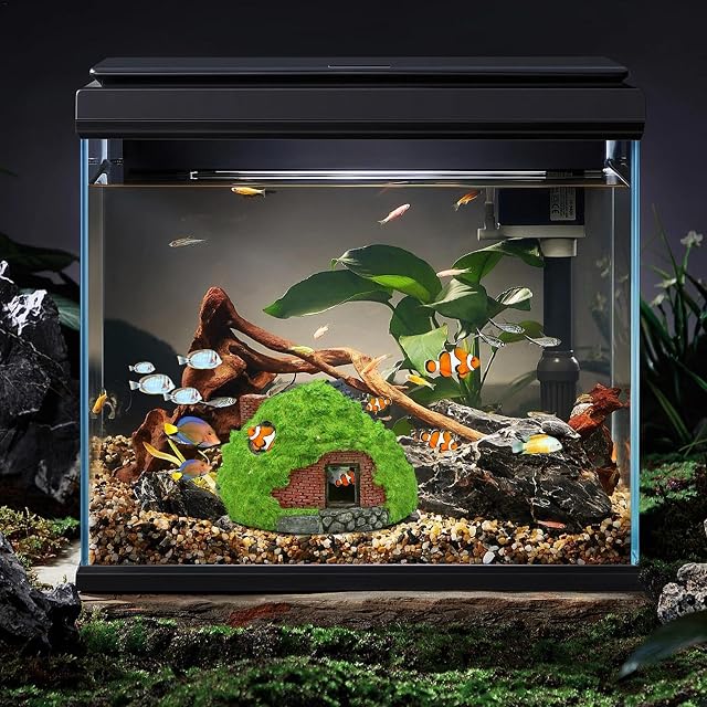 Foto 7 de 8 de Caseta de pecera para acuario, cuevas de acuario y escondites para peces, escondite de peces, acuario