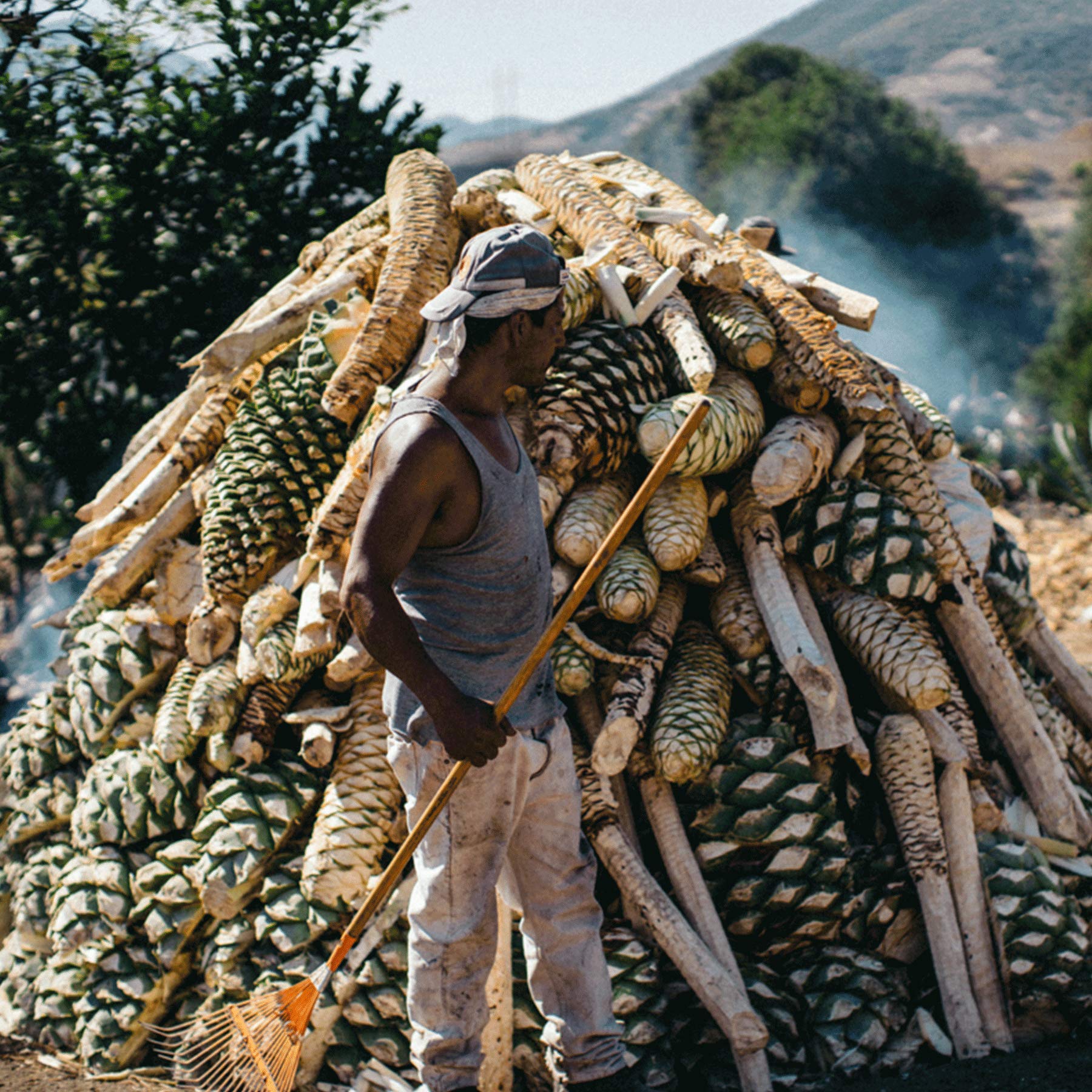Madre Mezcal Ensamble