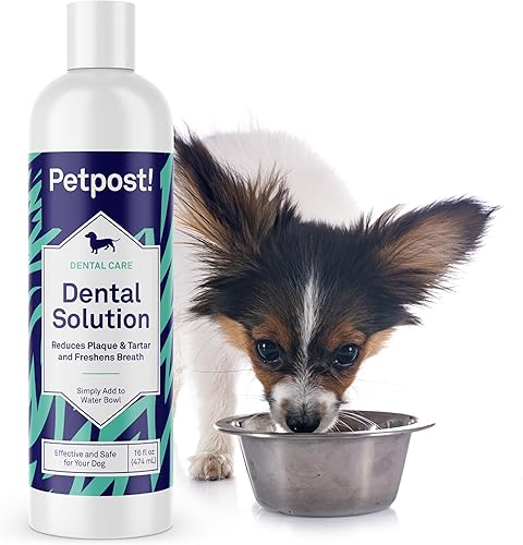 Vista 11 de Petpost Fresh Breath Foam for Dogs - Solución dental con sabor a menta y manzana que elimina el mal aliento - Tratamiento de limpieza dental