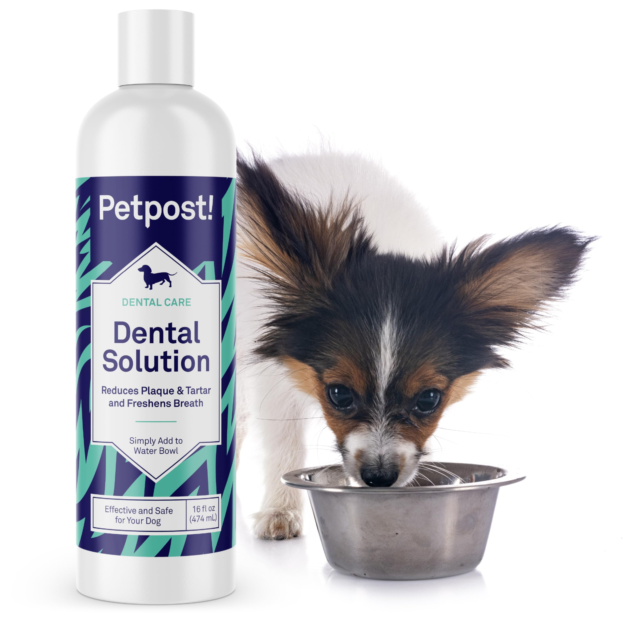 best canine toothpaste