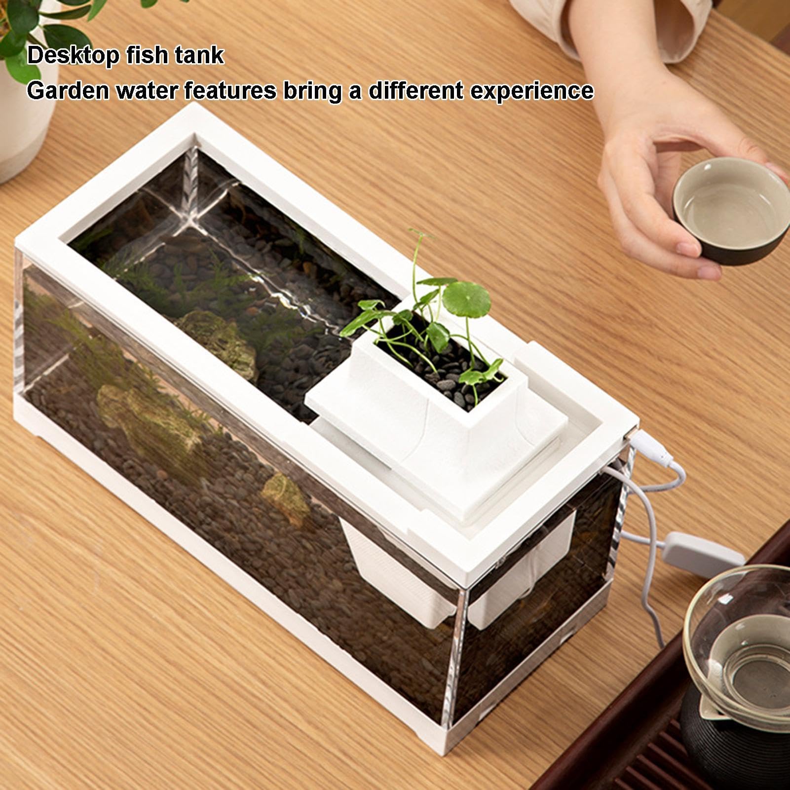 Auslaufsicher, groß, offen, kleines Aquarium, Mini