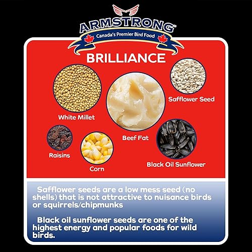 Miniatura 4 de Armstrong Bird Food Royal Jubilee Brilliance - Pastel de sebo de 10.6 onzas (paquete de 3), con girasol de aceite negro, cártamo, pasas, cerezas y