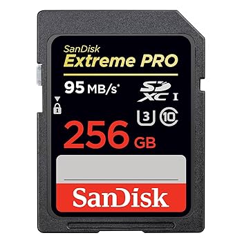 Amazon.com: SanDisk Extreme PRO 256GB up to 95MB/s UHS-I/U3