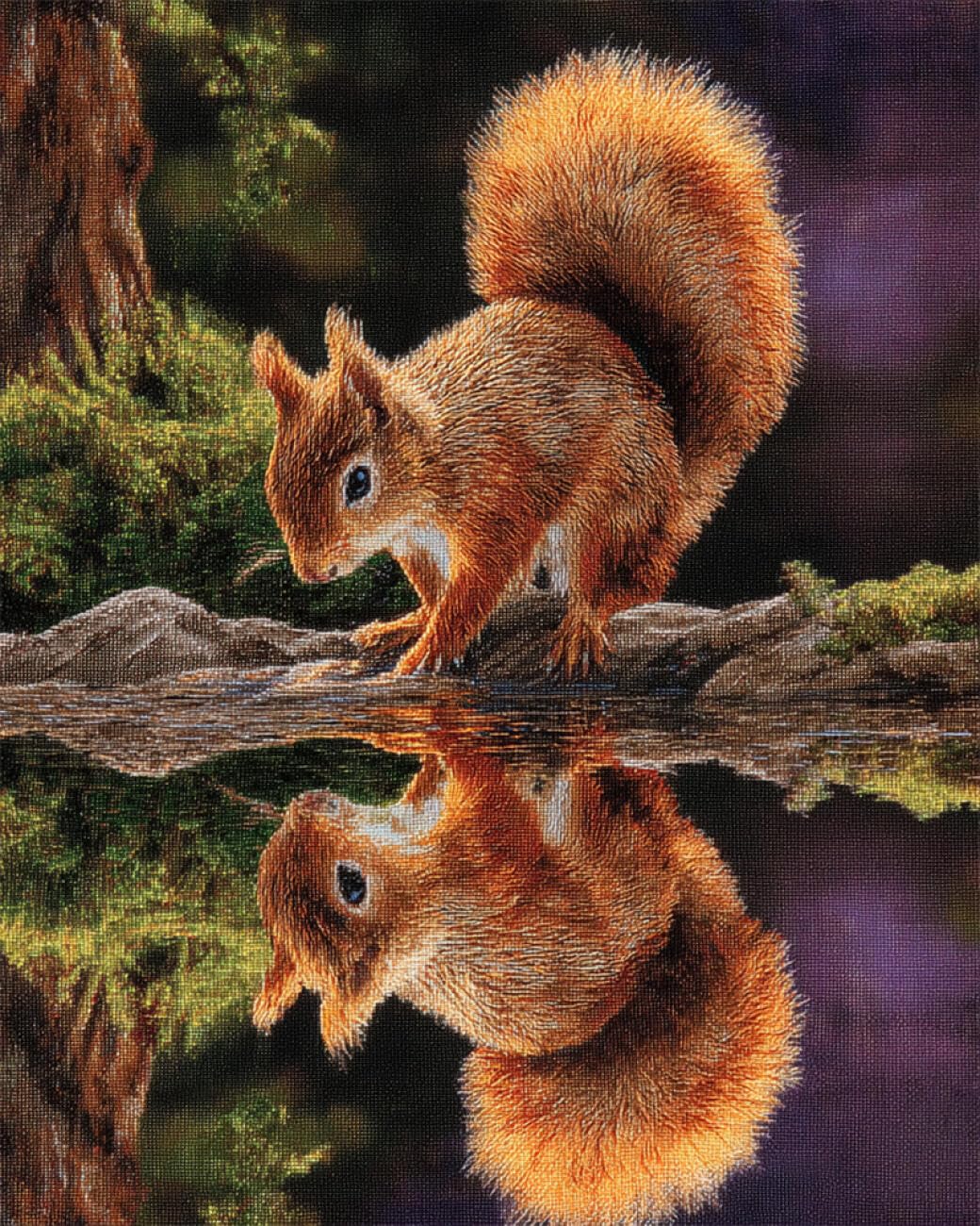 Axiangzik F N.lanshan Diy Rug Making Kit Squirrel And Water Reflection Latch Hook Rug Kits Or Beginners Diy Needlework Crocheting Tapestry Kit Home Decor 80X115cm