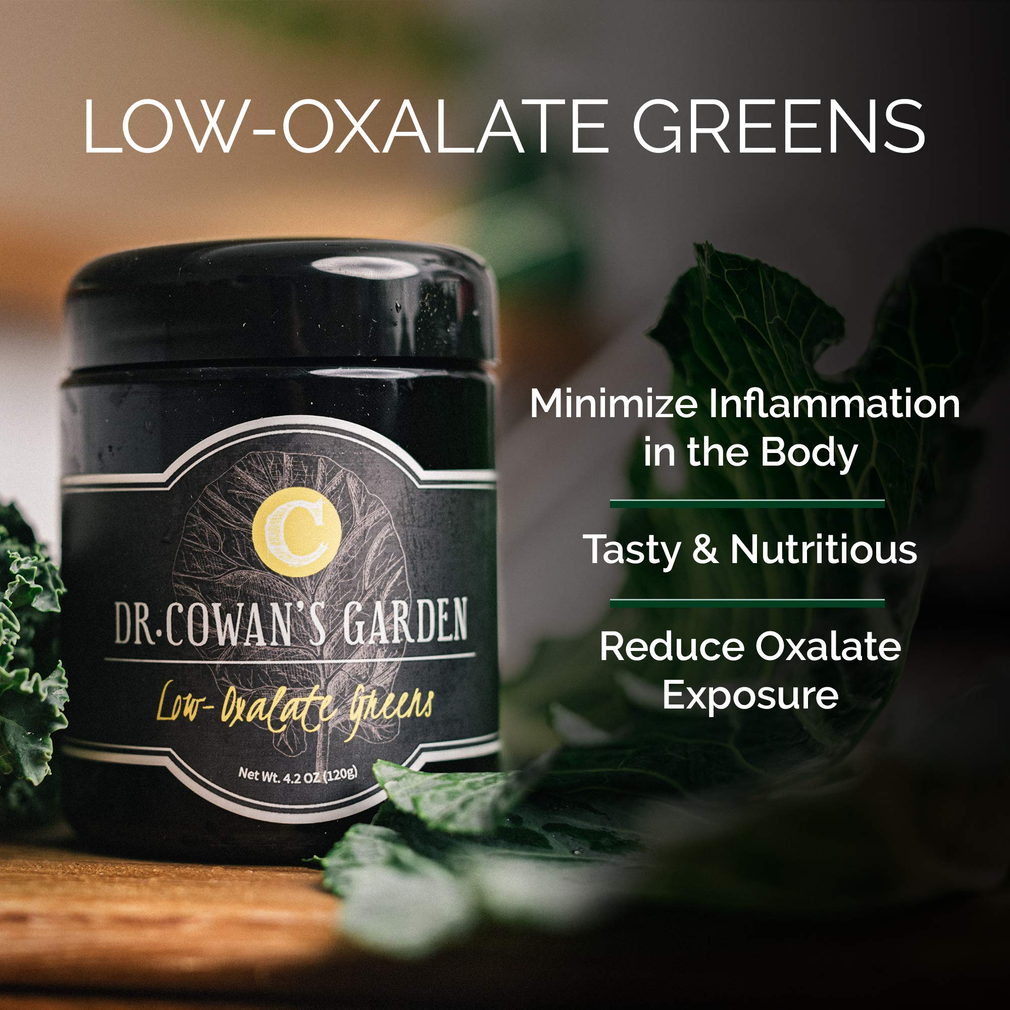 Buy Dr. Cowan's Garden LowOxalate Organic Greens Vegetable Powder