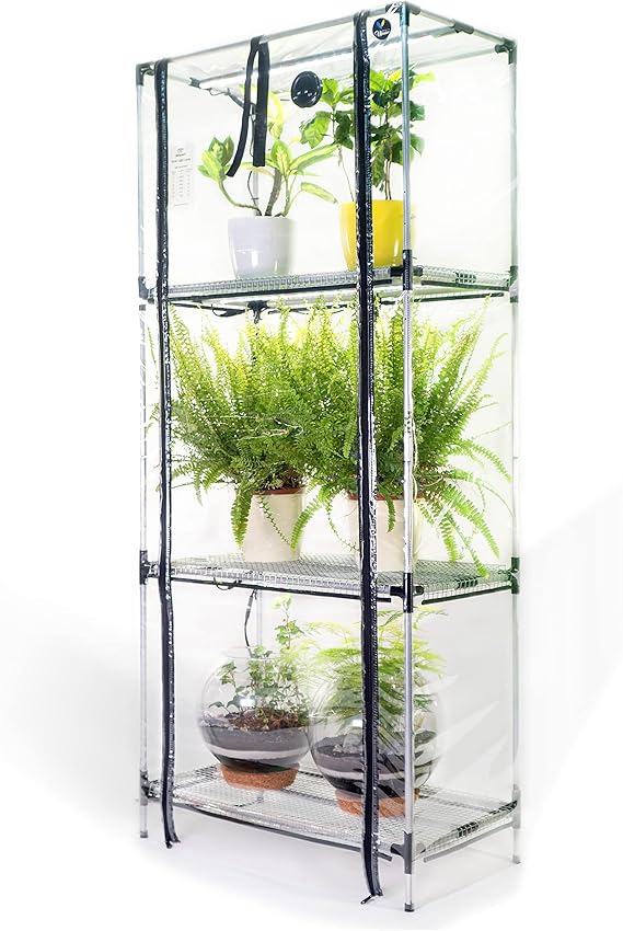 Mini greenhouse with grow light Broody XL for Indoor Plant